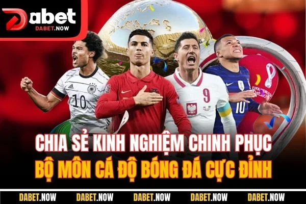 Chia sẻ kinh nghiệm chinh phục bộ môn cá độ bóng đá cực đỉnh