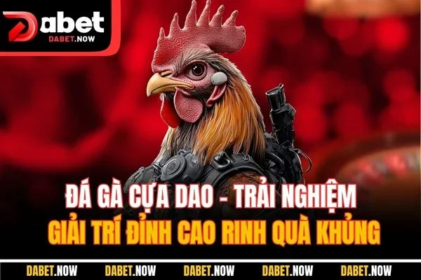 Đá Gà Cựa Dao - Trải Nghiệm Giải Trí Đỉnh Cao Rinh Quà Khủng