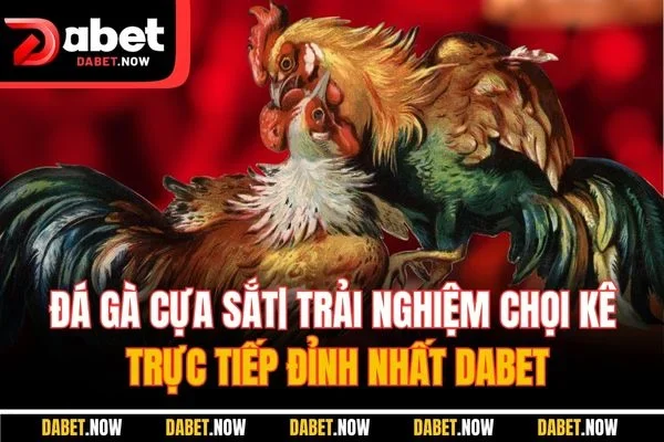 Đá Gà Cựa Sắt| Trải Nghiệm Chọi Kê Trực Tiếp Đỉnh Nhất DABET