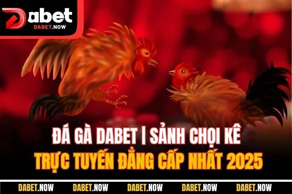 Đá Gà Dabet | Sảnh Chọi Kê Trực Tuyến Đẳng Cấp Nhất 2025