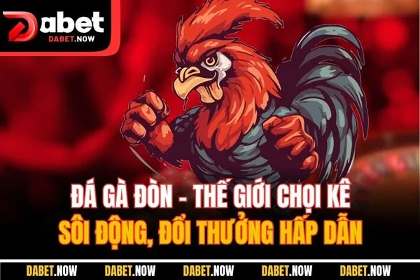Đá gà đòn - Thế giới chọi kê sôi động, đổi thưởng hấp dẫn