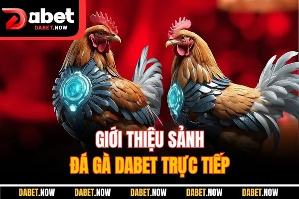 Giới thiệu sảnh đá gà DABET trực tiếp