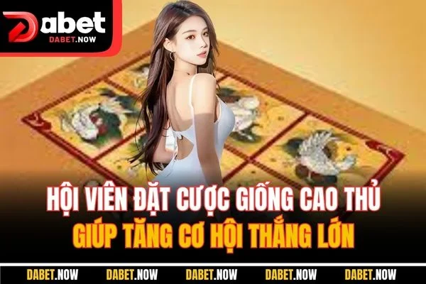 Hội viên đặt cược giống cao thủ giúp tăng cơ hội thắng lớn