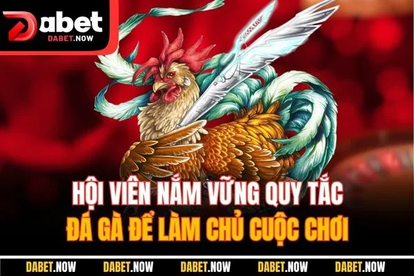 Hội viên nắm vững quy tắc đá gà để làm chủ cuộc chơi