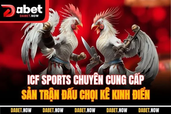 ICF Sports chuyên cung cấp sản trận đấu chọi kê kinh điển