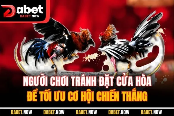 Người chơi tránh đặt cửa hòa để tối ưu cơ hội chiến thắng