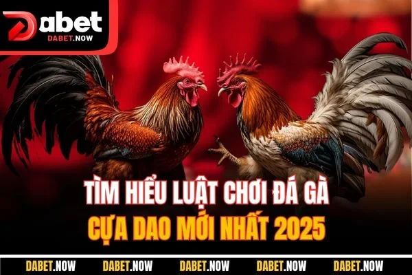 Tìm hiểu luật chơi đá gà cựa dao mới nhất 2025