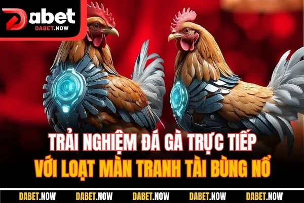 Trải nghiệm đá gà trực tiếp với loạt màn tranh tài bùng nổ